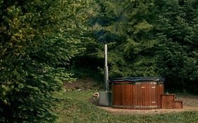 Artist'S House